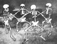 http://www.myltik.ru/interes/history/skeleton.jpg