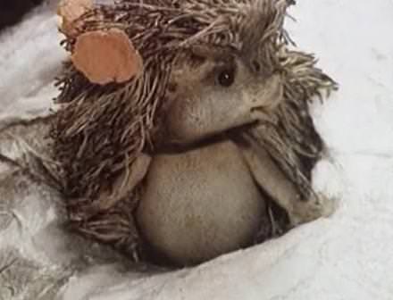 ������� � ������� ��������