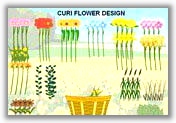 Curi flower design
