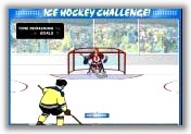 Ice hockey challenge