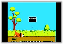 Duck Hunt