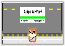 Anipa Airport