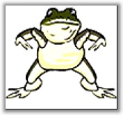 Kamikaze Frogs